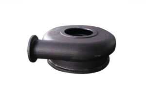 Snail shell