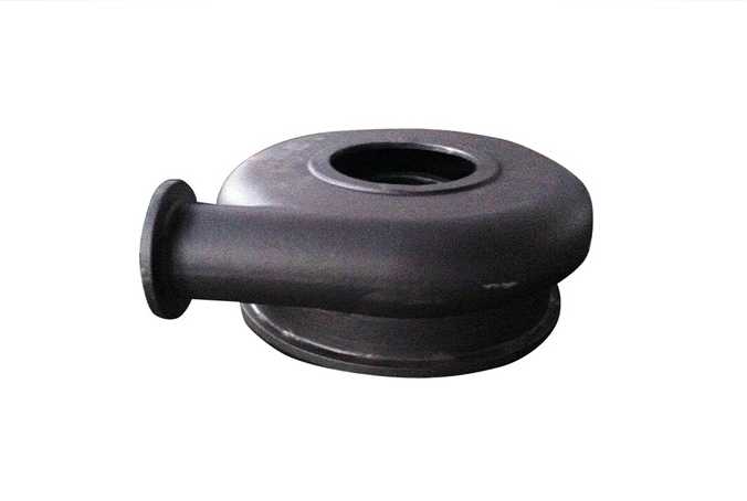 Snail shell