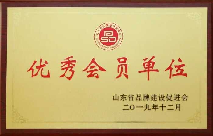 Outstanding Member Organisation for Brand Development