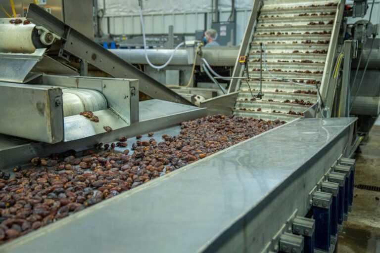belt conveyor